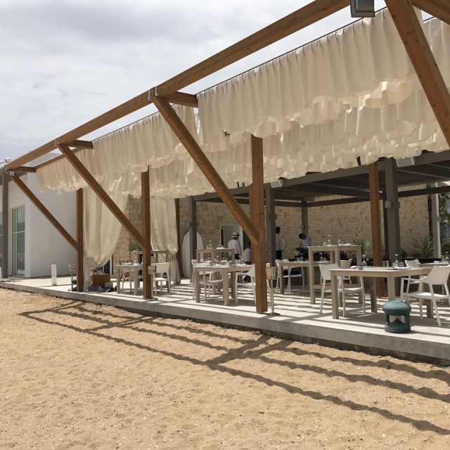 Lunawood enjoying the Moroccan sun
